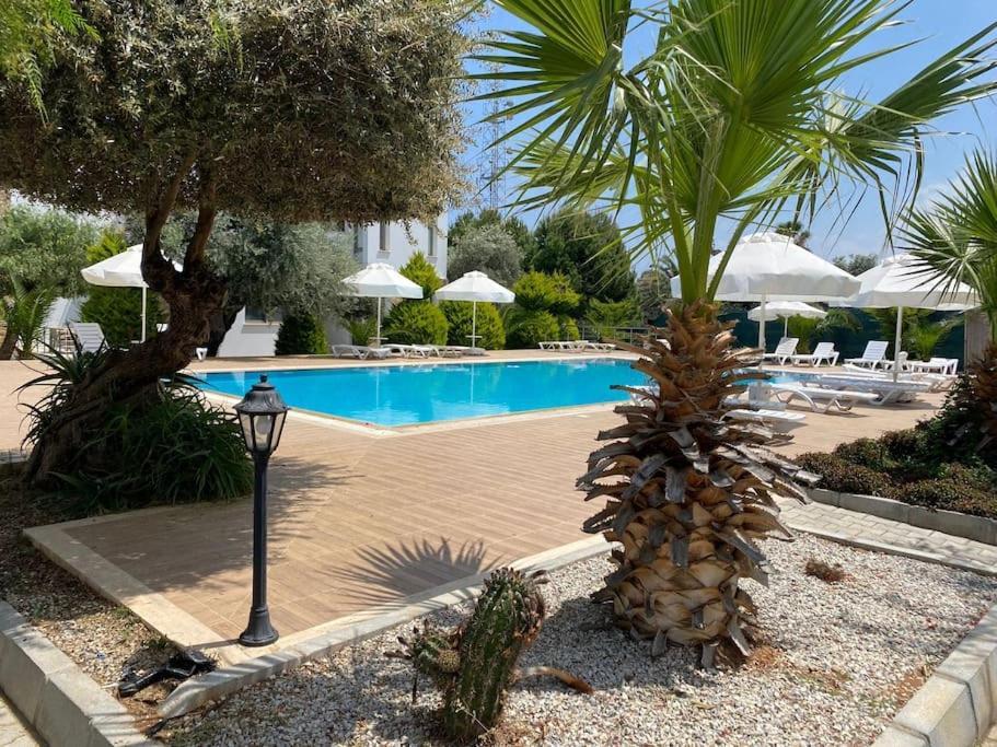 Girne/Zeytinlik 2+1 Muhtesem Terasli Daire Luaran gambar