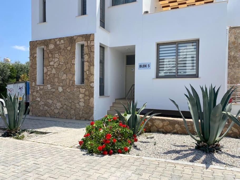 Girne/Zeytinlik 2+1 Muhtesem Terasli Daire Luaran gambar